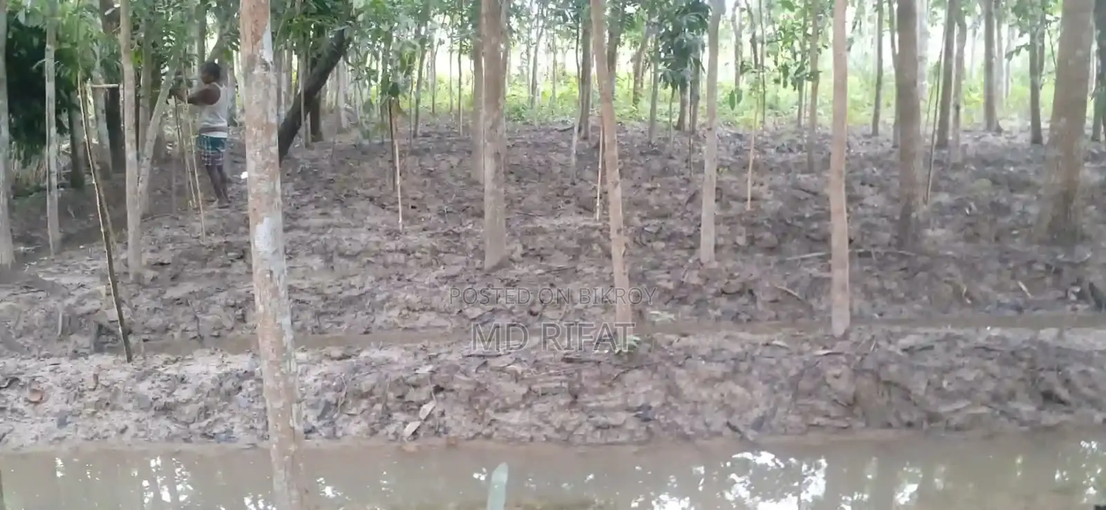 জমি বিক্রয়