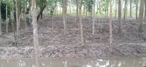 জমি বিক্রয়