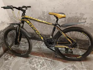 Phoenix Bicycles