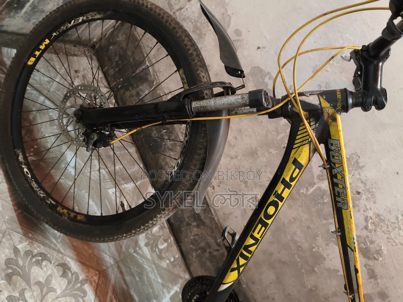 Phoenix Bicycles