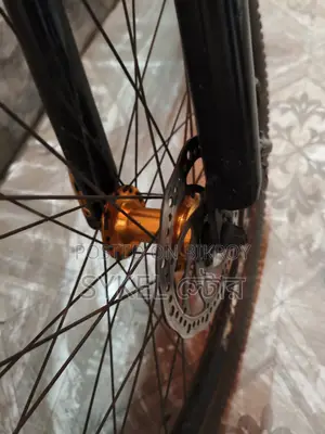 Phoenix Bicycles