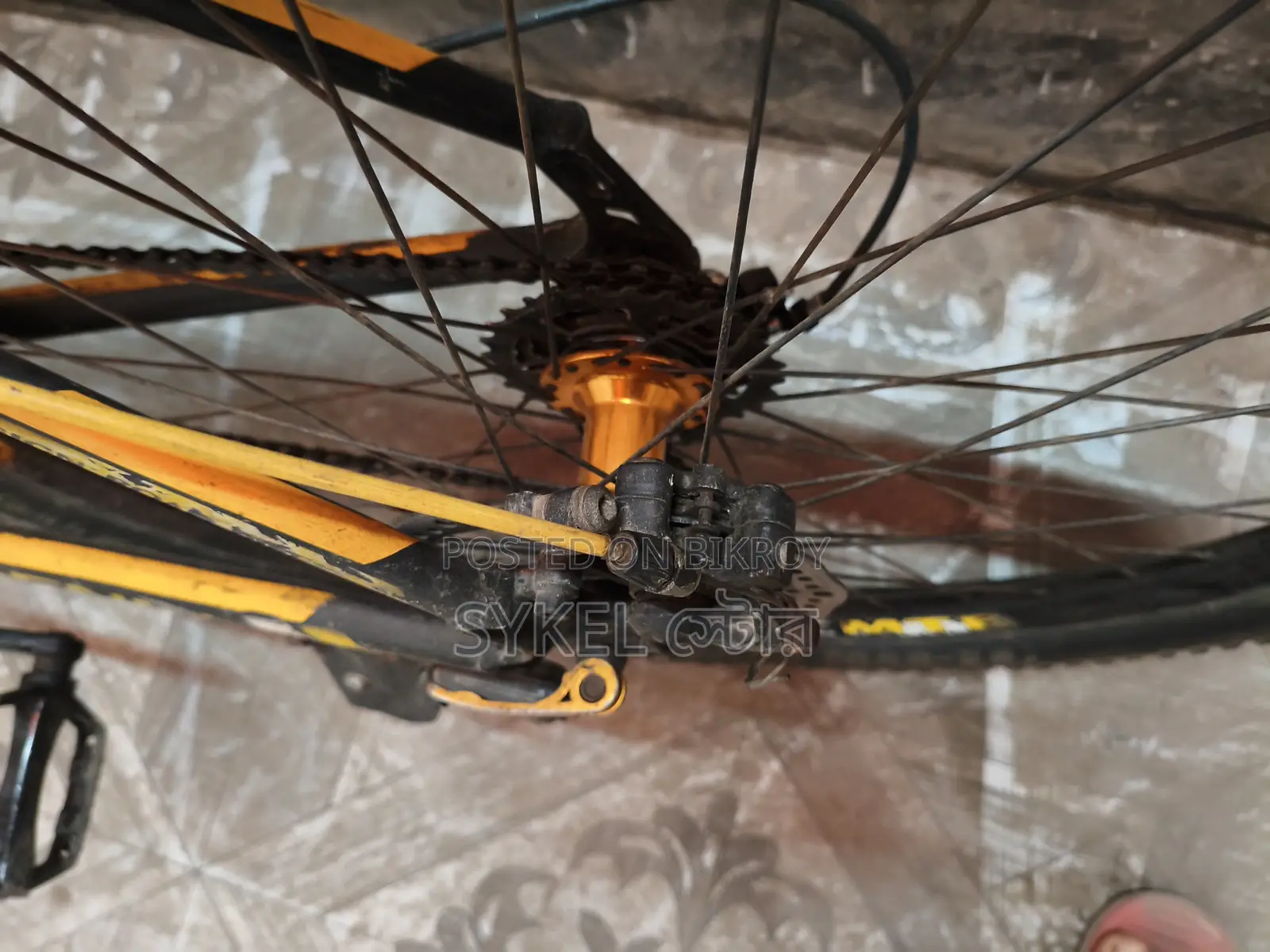 Phoenix Bicycles