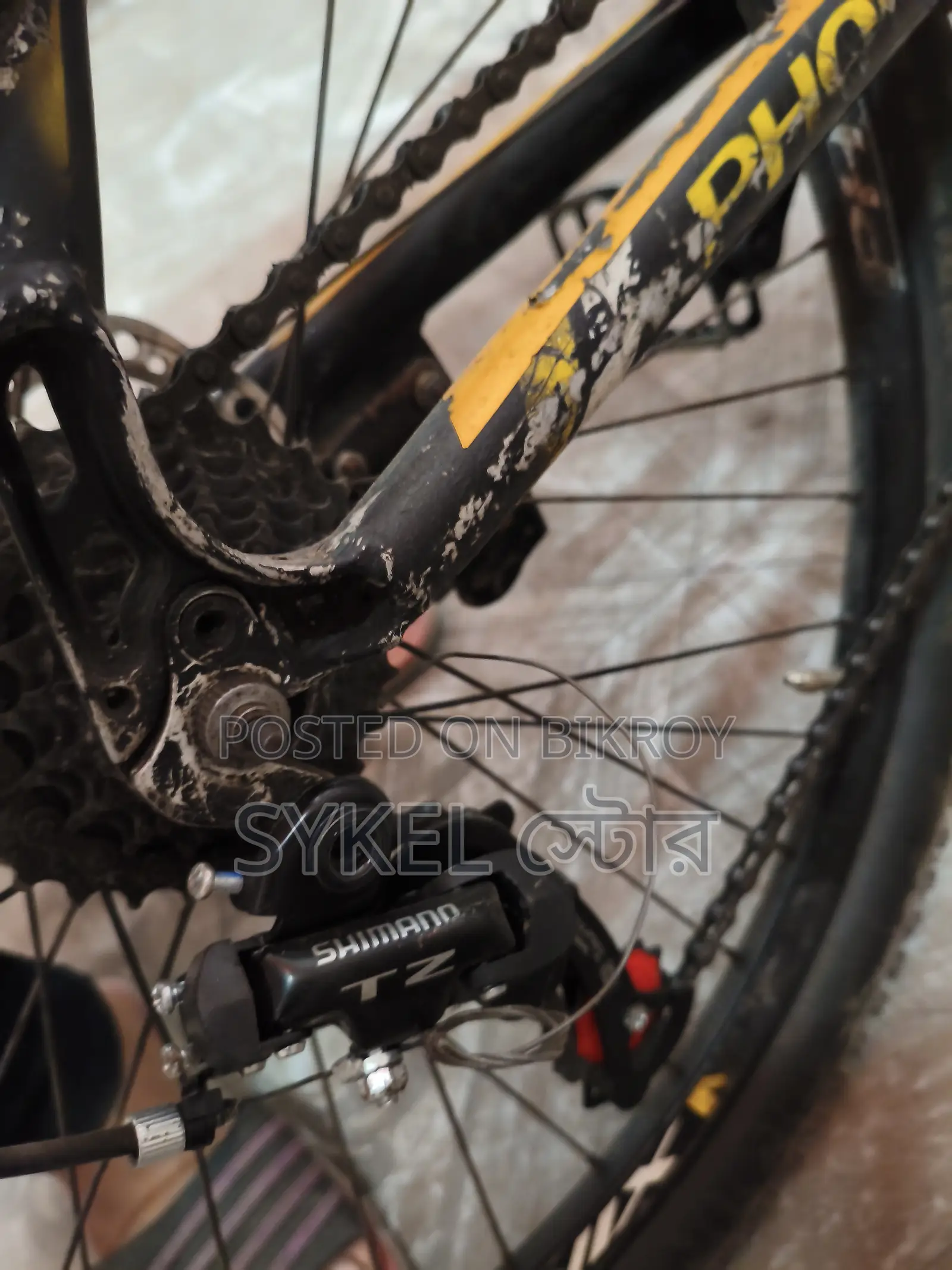 Phoenix Bicycles