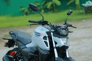 Yamaha FZS V4 2025 Gray