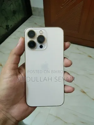 অ্যাপল আইফোন ১৩ প্রো ২৫৬ জিবি গোল্ড