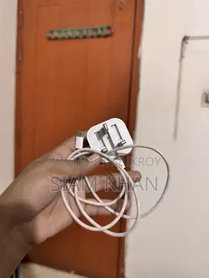 Apple Original Charger 20w