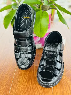 সাচ্চি সু কালেকশন