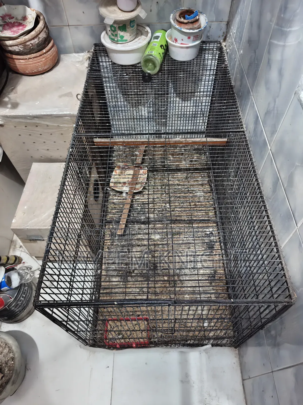 Only Bird Case 20*36" (30 Kg) 3 Gate