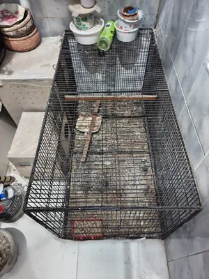 Only Bird Case 20*36" (30 Kg) 3 Gate