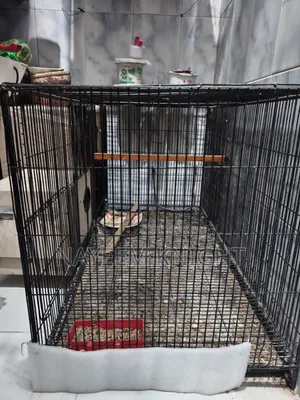 Only Bird Case 20*36" (30 Kg) 3 Gate