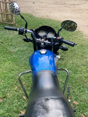 LML Freedom Prima 110 2008 Blue