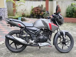 টিভিএস আপাচে আরটিআর ১৬০ ২ভি ২০১৯ গ্রে