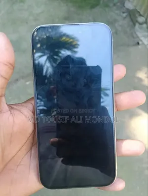 অ্যাপল আইফোন ১৫ প্রো ১২৮ জিবি সিলভার