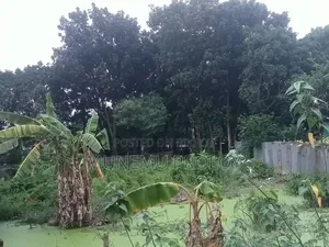 নওহাটা পশু হাসপাতালের পাশের জমি বিক্রি হবে।