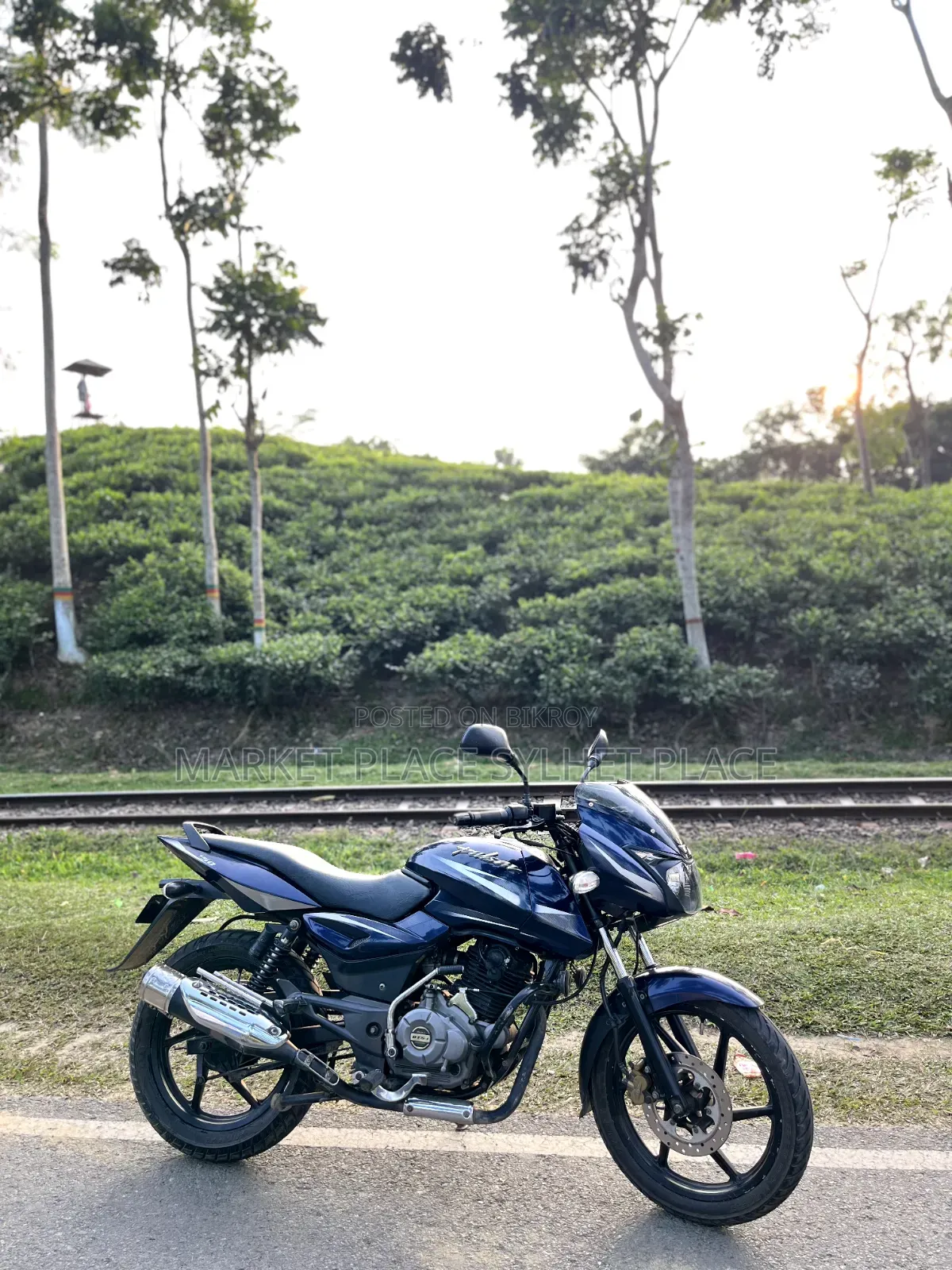 Bajaj Pulsar 150 2018 Blue