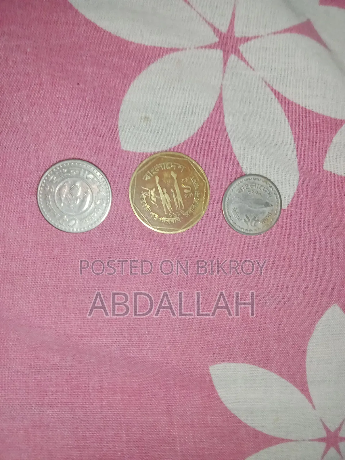 Abdullah Noor Raiyan