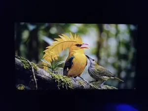 Acer 22 Inch Borderless Monitor | 100Hz | মাত্র আড়াই মাস ব্যবহার।
