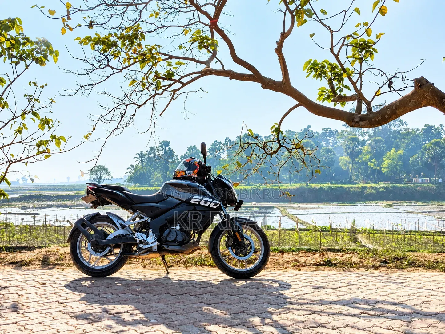 Bajaj Pulsar NS 160 2019 Black