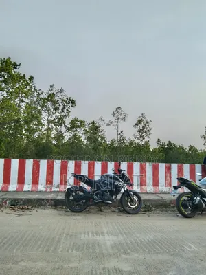 Bajaj Pulsar NS 160 2019 Black