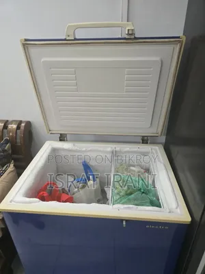Electra Chest Freezer (Deep Freezer)