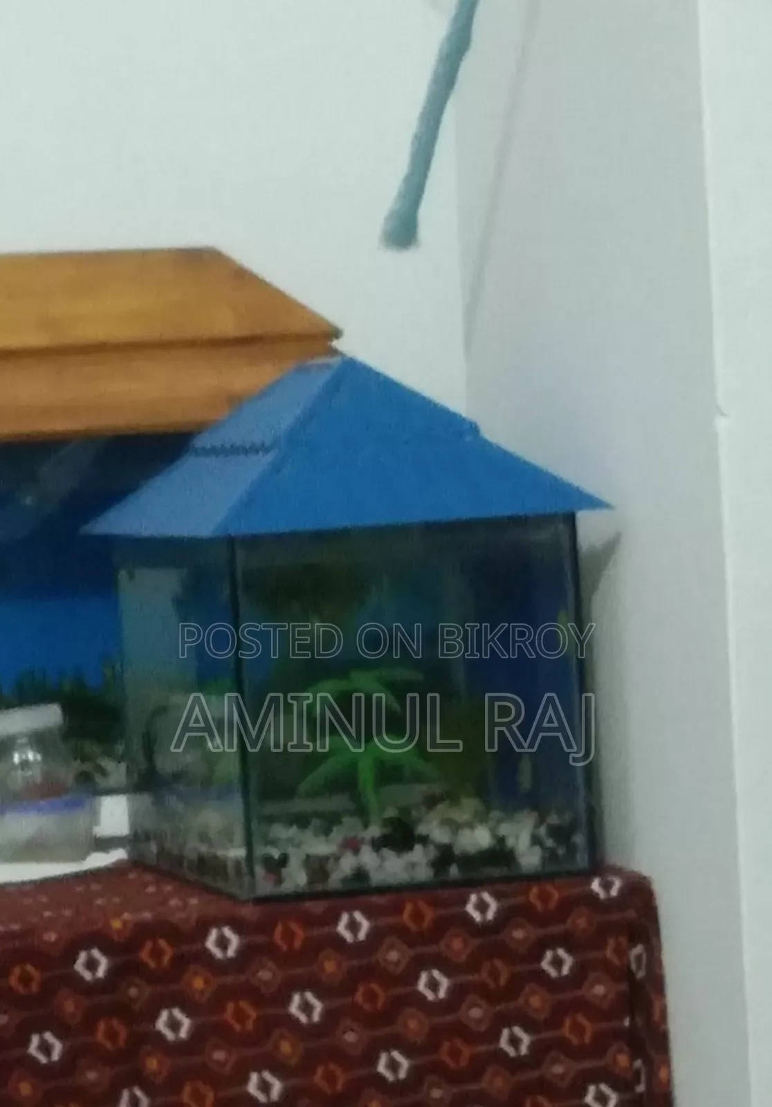 মাছের একুরিয়াম