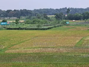Buy Land in Dhaka Purbachal Sector 21