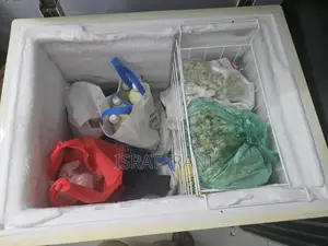 Electra Chest Freezer (Deep Freezer)