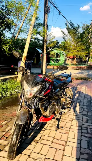 Bajaj Pulsar NS 160 2019 Red