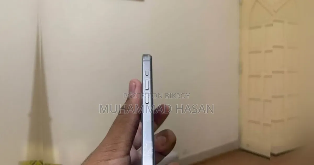অ্যাপল আইফোন ১৫ প্রো ম্যাক্স ২৫৬ জিবি গ্রে