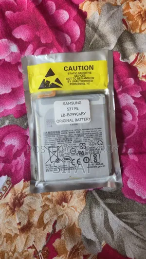 Samsung S21 Fe Battery
