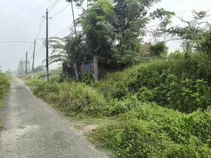 MD Nazmul Mia