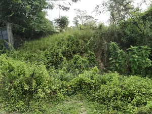 এমডি নাজমুল মিয়া
