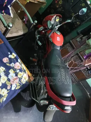 Hero Passion Pro 2010 Red