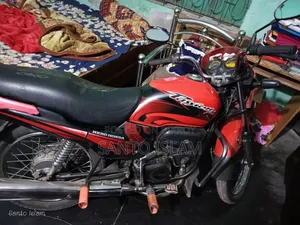 Hero Passion Pro 2010 Red