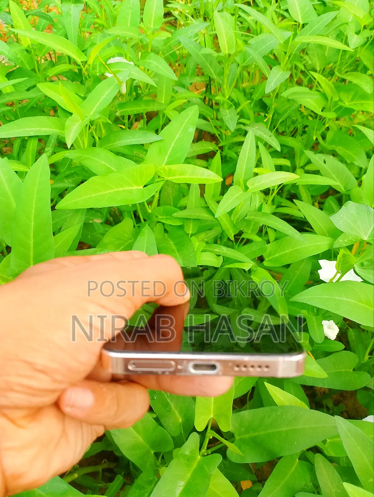 Vivo V23 5G 128 GB Gold