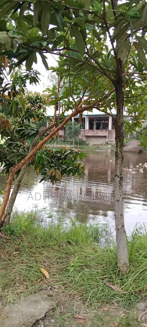 4 Bedroom House in Bagan Bari, Mawa Highway for sale