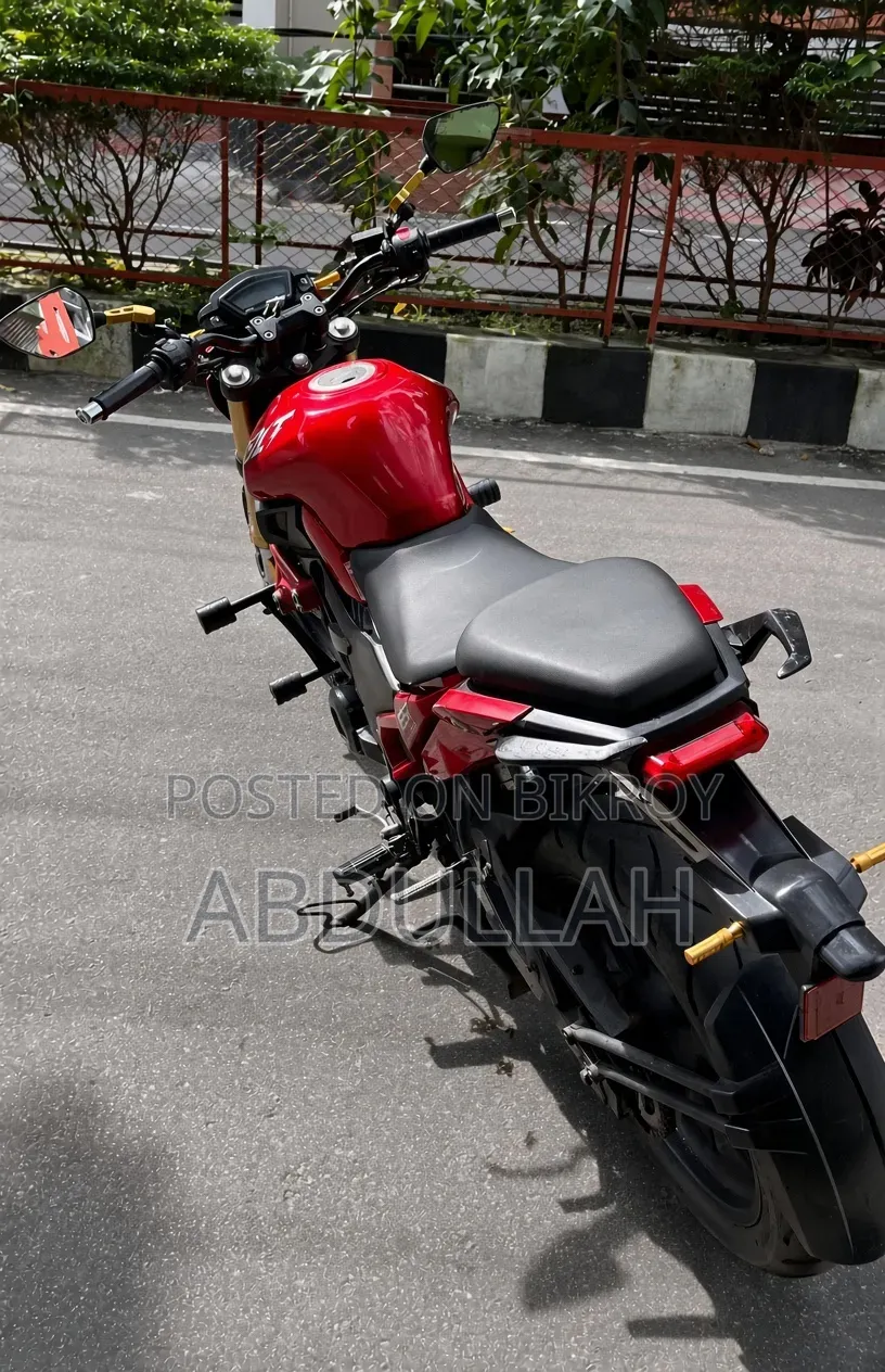 Runner Bolt 165R 2021 Red