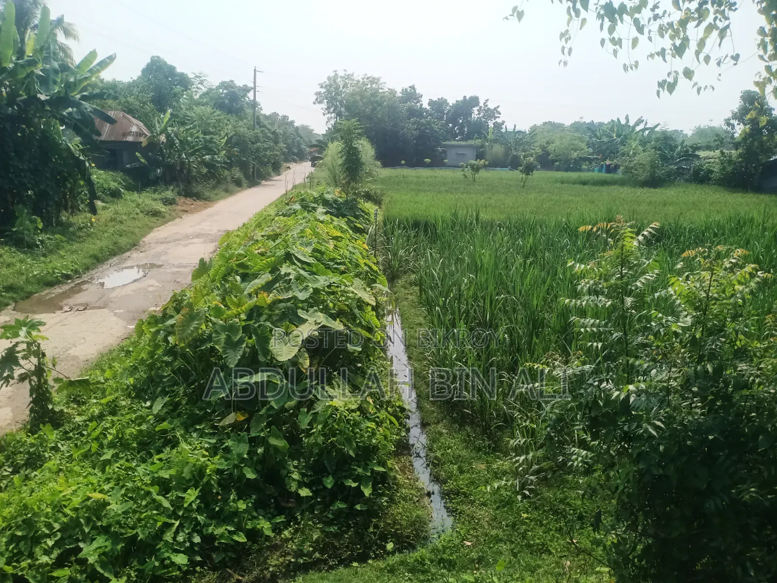 Buy Roadside Land