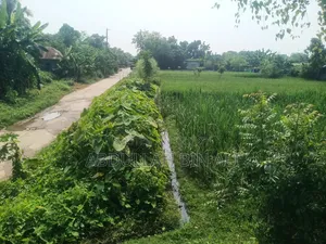 Buy Roadside Land