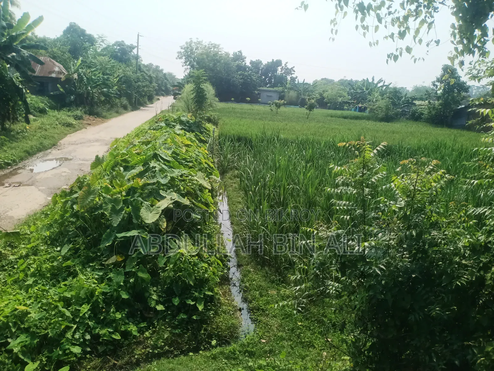 Buy Roadside Land
