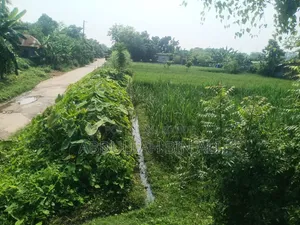 Buy Roadside Land