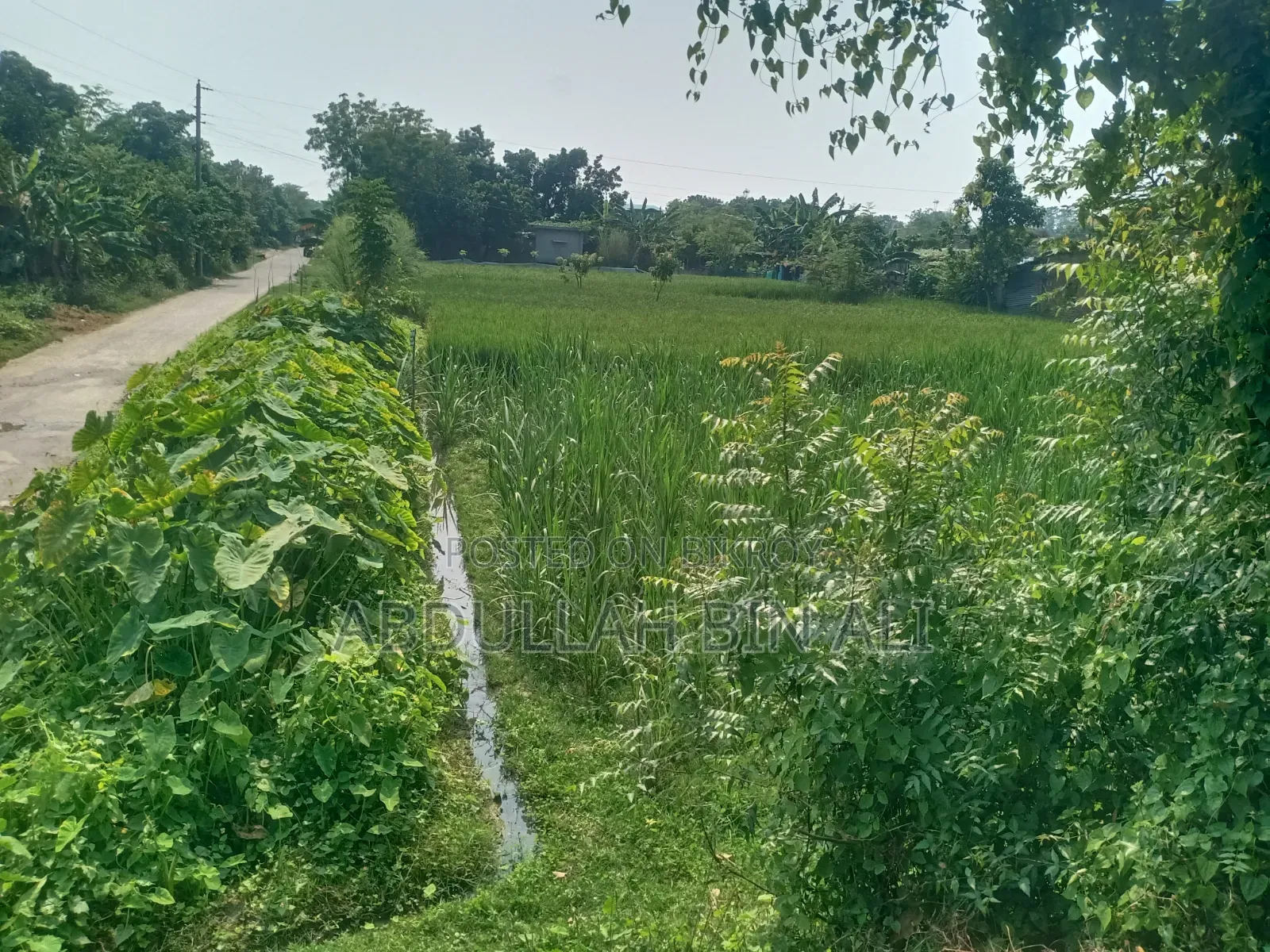 Buy Roadside Land