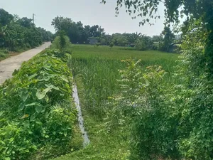 Buy Roadside Land
