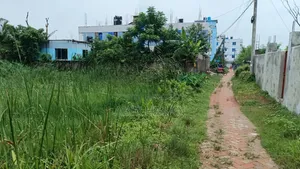 কৃষ্ণনগর এর ইব্রাহিম সড়কে চার কাঠা জমি বিক্রি হবে