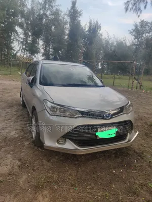 Toyota Axio 2017 Silver