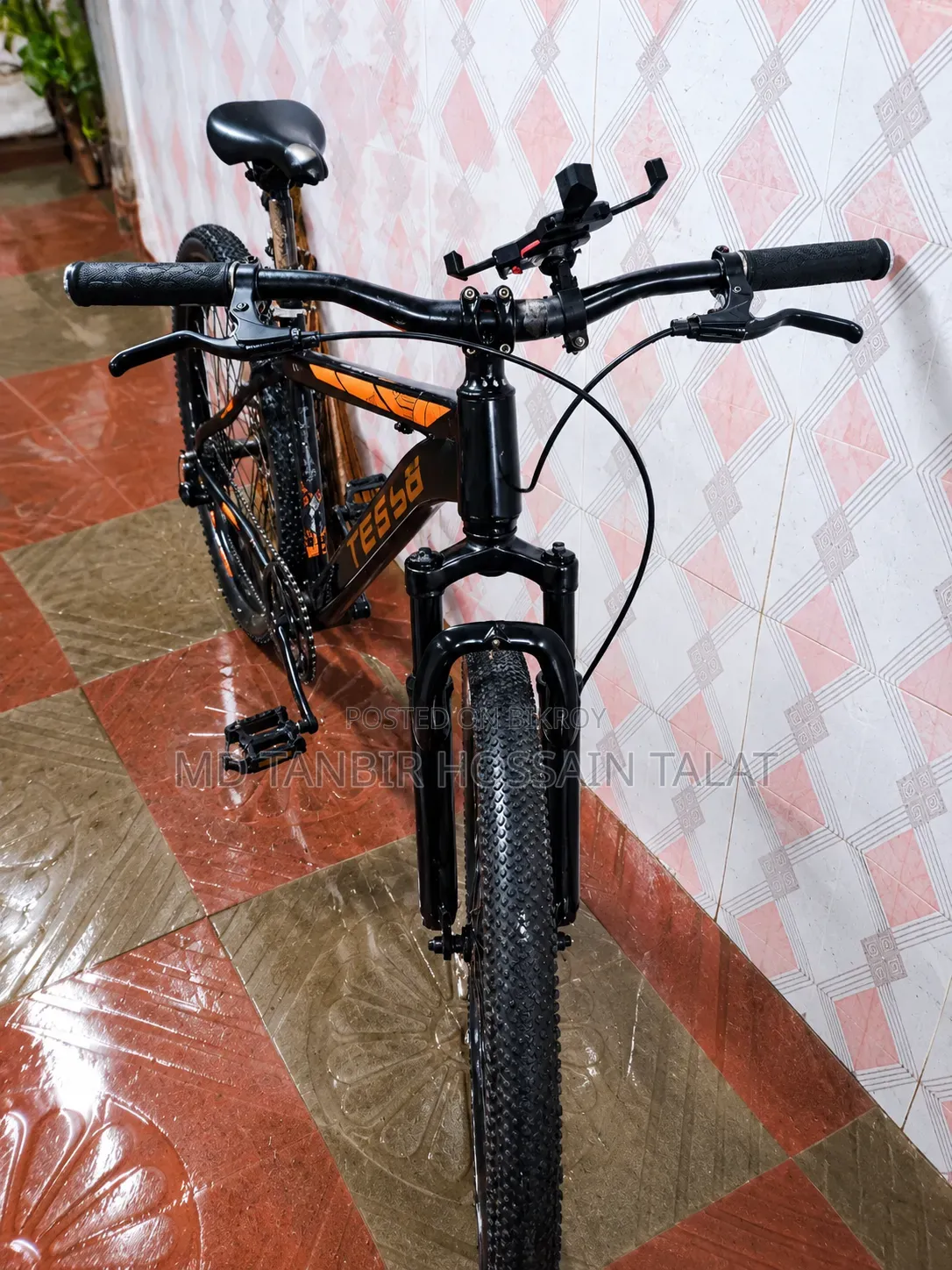 টেসলা বাইসাইকেল