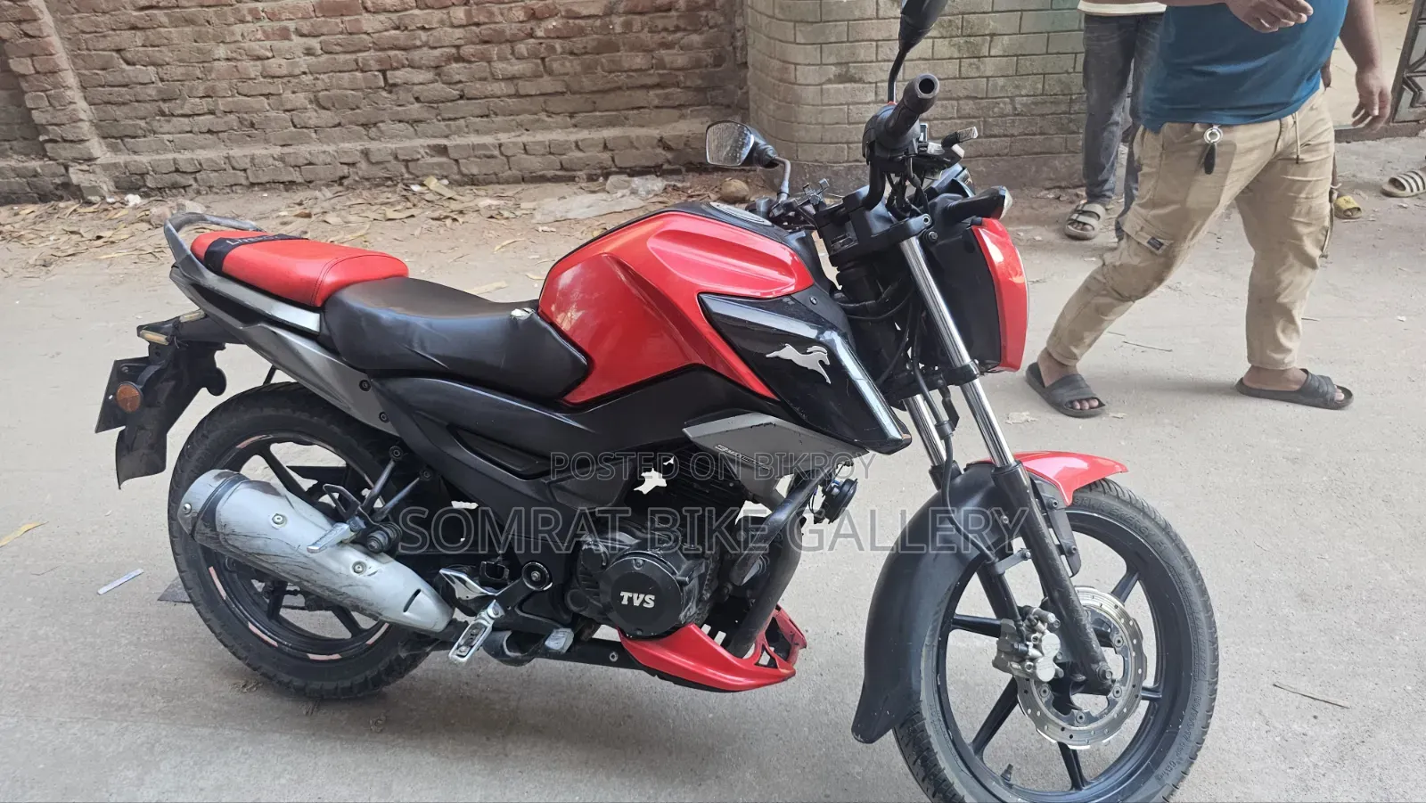 TVS Raider 125 2019 Red