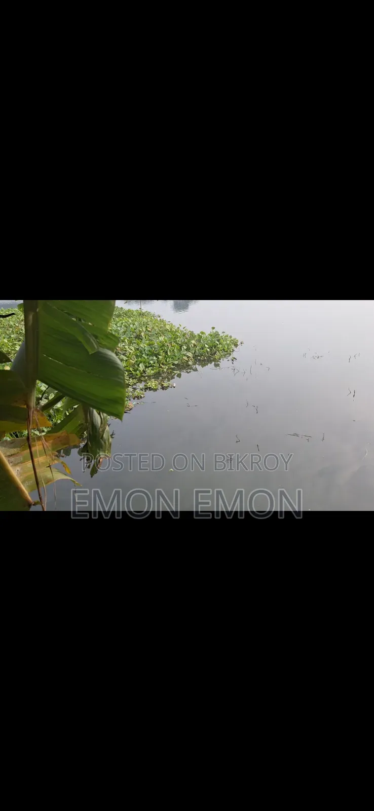 জমি বিক্রয় আছে