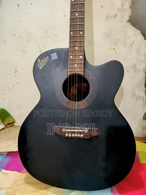 সিগনেচার গিটার