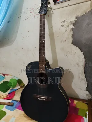 সিগনেচার গিটার